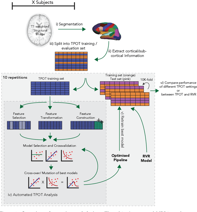 Figure 1 for Analysis of an Automated Machine Learning Approach in Brain Predictive Modelling: A data-driven approach to Predict Brain Age from Cortical Anatomical Measures