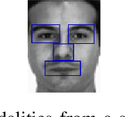 Figure 2 for Multimodal Task-Driven Dictionary Learning for Image Classification