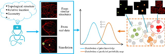Figure 4 for Unsupervised Learning of Local Discriminative Representation for Medical Images