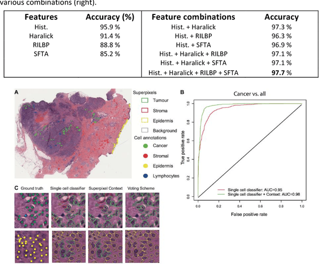 Figure 2 for Capturing global spatial context for accurate cell classification in skin cancer histology