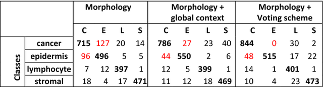 Figure 4 for Capturing global spatial context for accurate cell classification in skin cancer histology