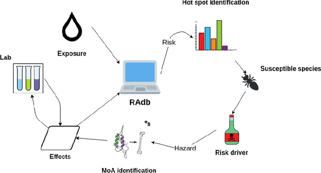 Figure 1 for Knowledge Graph Embedding for Ecotoxicological Effect Prediction
