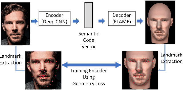 Figure 1 for Superimposition-guided Facial Reconstruction from Skull