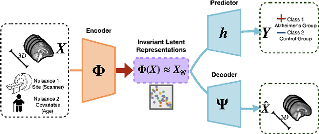 Figure 1 for Equivariance Allows Handling Multiple Nuisance Variables When Analyzing Pooled Neuroimaging Datasets