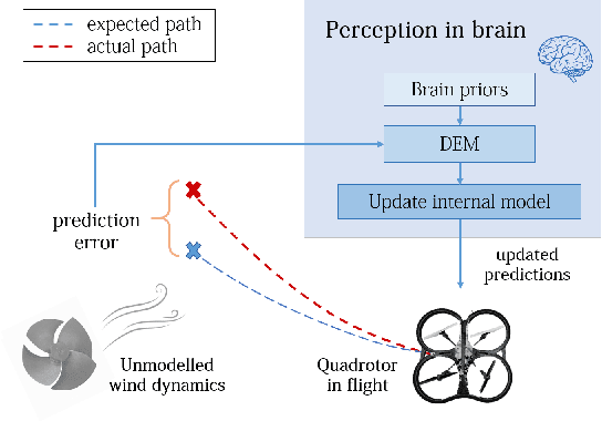 Figure 1 for A Brain Inspired Learning Algorithm for the Perception of a Quadrotor in Wind