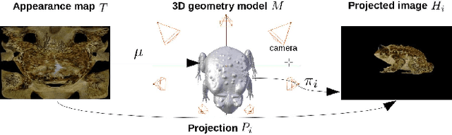 Figure 3 for 3D Appearance Super-Resolution with Deep Learning