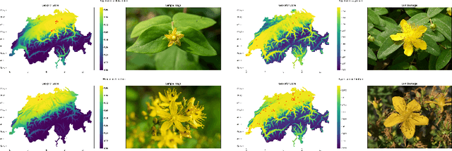 Figure 3 for Digital Taxonomist: Identifying Plant Species in Citizen Scientists' Photographs