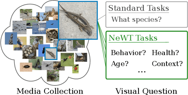 Figure 1 for Benchmarking Representation Learning for Natural World Image Collections