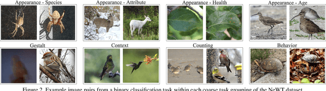 Figure 4 for Benchmarking Representation Learning for Natural World Image Collections