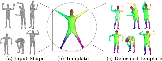 Figure 1 for 3D-CODED : 3D Correspondences by Deep Deformation