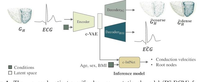 Figure 1 for Deep Computational Model for the Inference of Ventricular Activation Properties