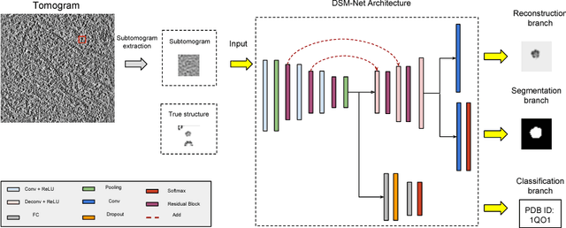 Figure 1 for Multi-task Learning for Macromolecule Classification, Segmentation and Coarse Structural Recovery in Cryo-Tomography