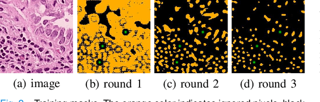 Figure 3 for Weakly Supervised Deep Nuclei Segmentation Using Partial Points Annotation in Histopathology Images