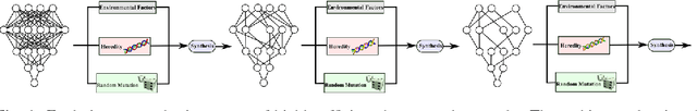 Figure 1 for Deep Learning with Darwin: Evolutionary Synthesis of Deep Neural Networks