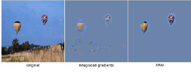 Figure 1 for Segment Integrated Gradients: Better attributions through regions