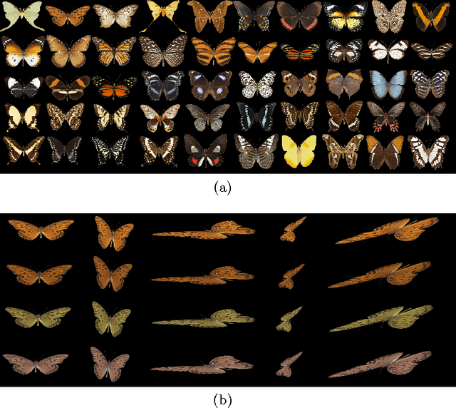 Figure 2 for Shape-Color Differential Moment Invariants under Affine Transformations