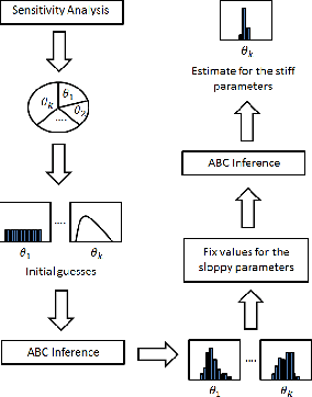 Figure 1 for Parameter Estimation in Computational Biology by Approximate Bayesian Computation coupled with Sensitivity Analysis