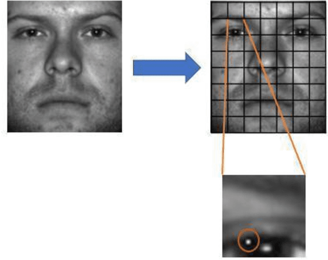 Figure 1 for Adversarial Attacks on Convolutional Neural Networks in Facial Recognition Domain