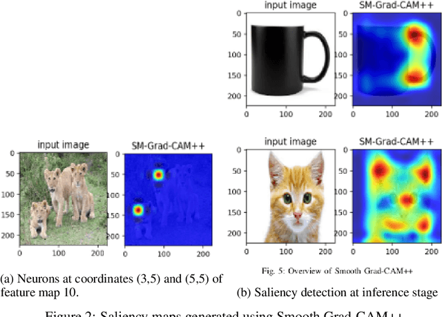 Figure 1 for A Step Towards Exposing Bias in Trained Deep Convolutional Neural Network Models