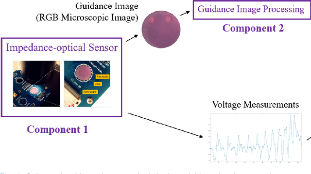 Figure 3 for Impedance-optical Dual-modal Cell Culture Imaging with Learning-based Information Fusion