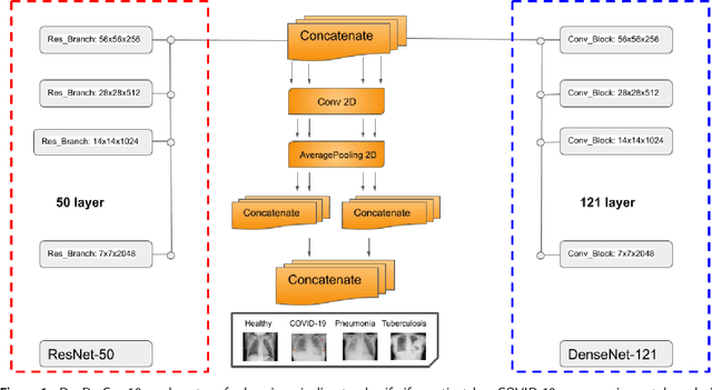 Figure 1 for DenResCov-19: A deep transfer learning network for robust automatic classification of COVID-19, pneumonia, and tuberculosis from X-rays