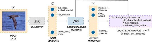 Figure 3 for Logic Explained Networks