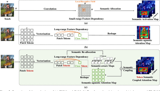 Figure 3 for TS-CAM: Token Semantic Coupled Attention Map for Weakly Supervised Object Localization
