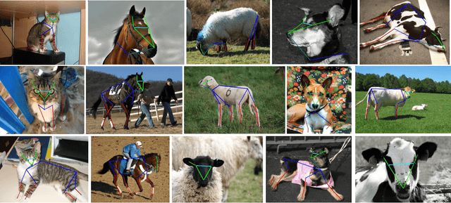 Figure 1 for Cross-Domain Adaptation for Animal Pose Estimation