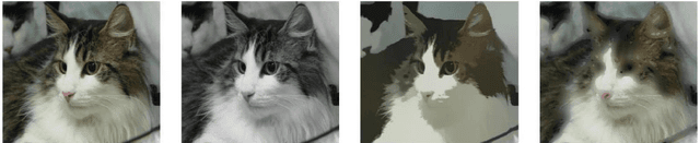 Figure 1 for Rethinking the Image Feature Biases Exhibited by Deep CNN Models
