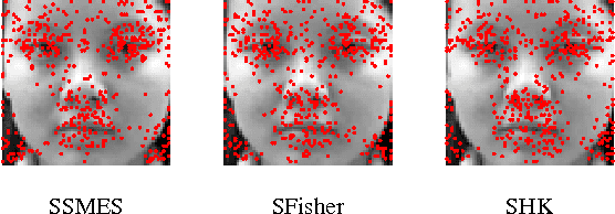 Figure 1 for Feature Selection via Sparse Approximation for Face Recognition