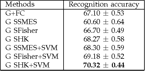 Figure 4 for Feature Selection via Sparse Approximation for Face Recognition