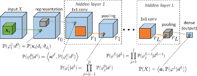 Figure 2 for Information Scaling Law of Deep Neural Networks