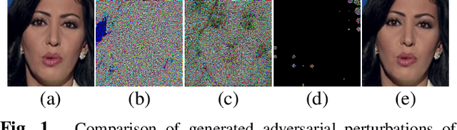 Figure 1 for Imperceptible Adversarial Examples for Fake Image Detection