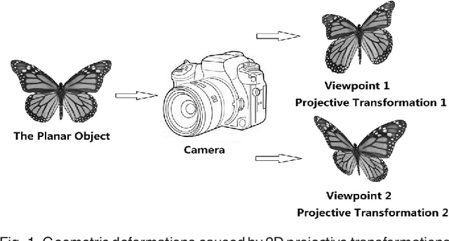 Figure 1 for Image Projective Invariants