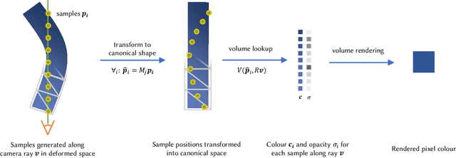 Figure 3 for VolTeMorph: Realtime, Controllable and Generalisable Animation of Volumetric Representations