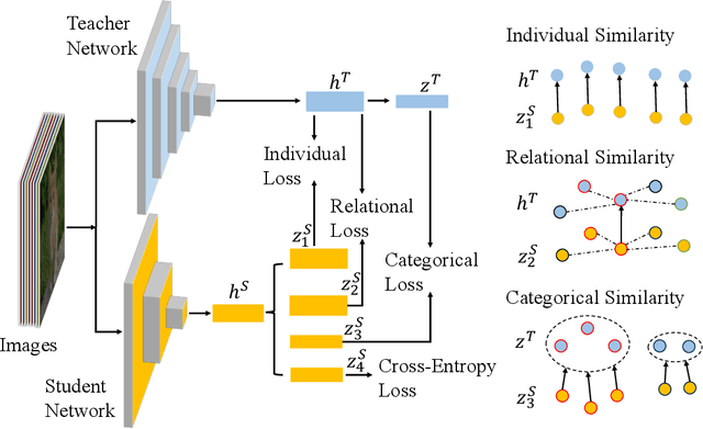 Figure 1 for Multi-level Knowledge Distillation