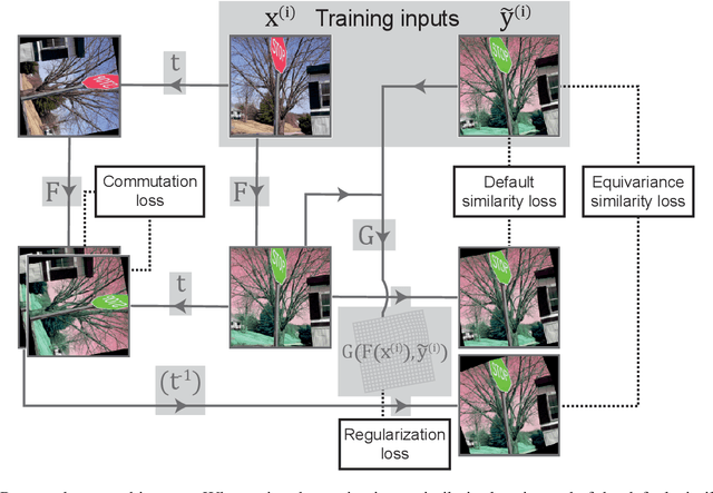 Figure 3 for Deformation equivariant cross-modality image synthesis with paired non-aligned training data