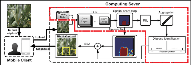 Figure 3 for An In-field Automatic Wheat Disease Diagnosis System