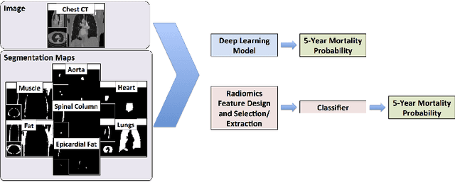 Figure 1 for Automated 5-year Mortality Prediction using Deep Learning and Radiomics Features from Chest Computed Tomography