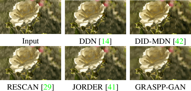 Figure 1 for Gradient Information Guided Deraining with A Novel Network and Adversarial Training