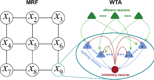 Figure 1 for Winner-Take-All as Basic Probabilistic Inference Unit of Neuronal Circuits