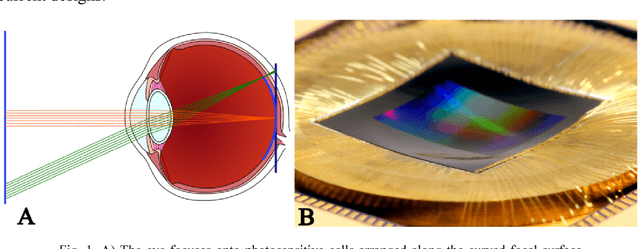 Figure 1 for Highly curved image sensors: a practical approach for improved optical performance