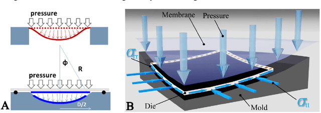 Figure 2 for Highly curved image sensors: a practical approach for improved optical performance
