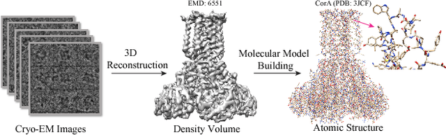 Figure 1 for A^2-Net: Molecular Structure Estimation from Cryo-EM Density Volumes