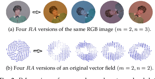 Figure 3 for Gaussian-Hermite Moment Invariants of General Vector Functions to Rotation-Affine Transform