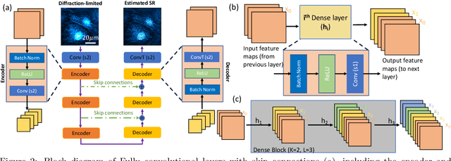 Figure 3 for Deep learning-based super-resolution fluorescence microscopy on small datasets