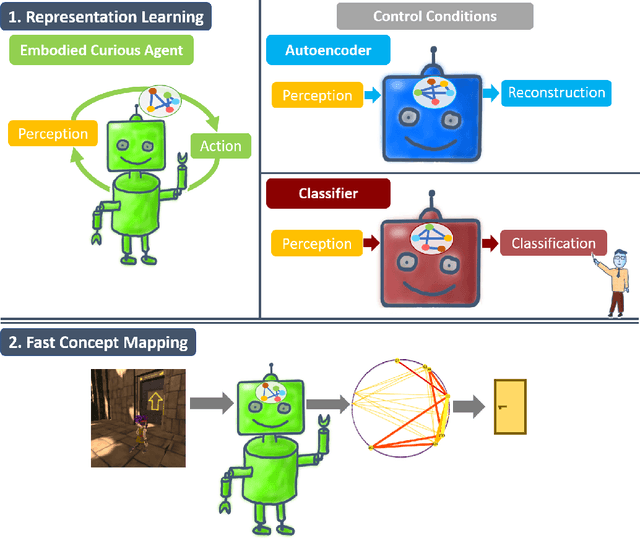 Figure 1 for Fast Concept Mapping: The Emergence of Human Abilities in Artificial Neural Networks when Learning Embodied and Self-Supervised