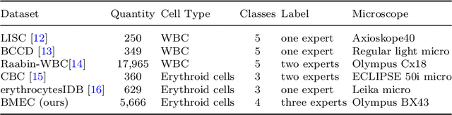 Figure 1 for Shape-Aware Fine-Grained Classification of Erythroid Cells