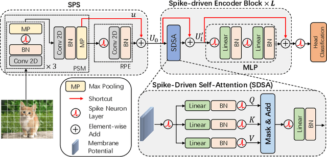 Figure 3 for Spike-driven Transformer
