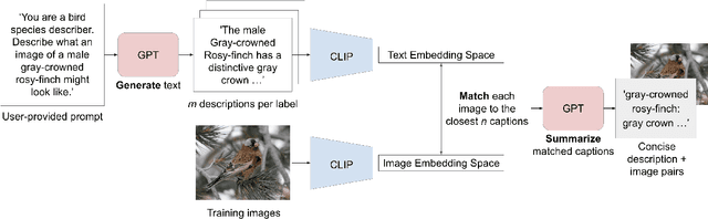 Figure 3 for GIST: Generating Image-Specific Text for Fine-grained Object Classification